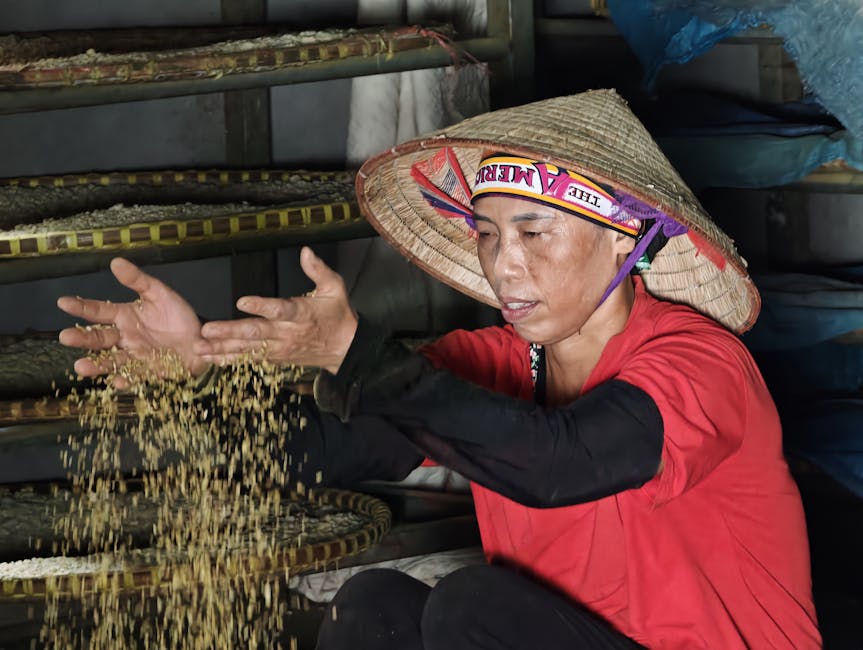 角鯊烯油的功效與應用指南