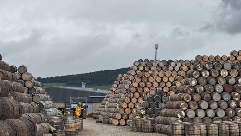 迷你倉：空間與心靈的雙重寄託