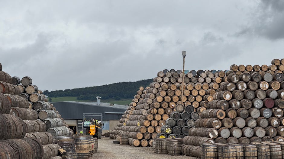 迷你倉：空間與心靈的雙重寄託